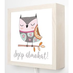 Álmos bagoly éjjeli fény, kis szépséghibával